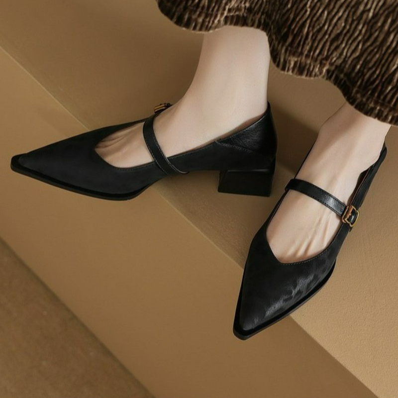 Vintage Pointed Toe Women Mary - Vintage Fashion Dress recension och pris